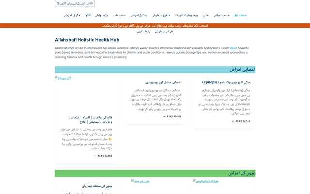 Portfolio 2 AllahShafi.com website preview